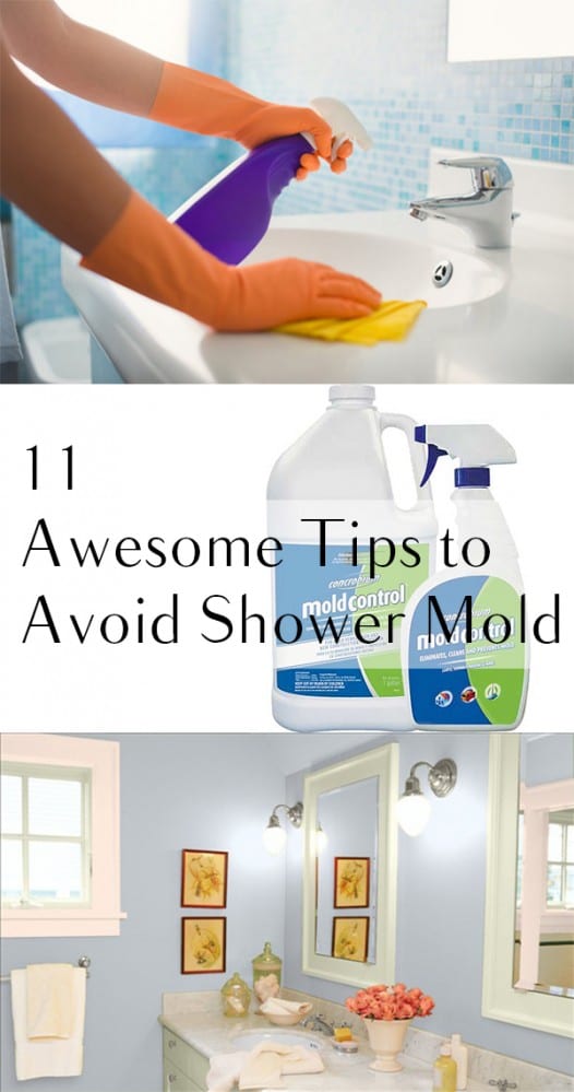 11 Awesome Tips to Avoid Shower Mold How To Build It