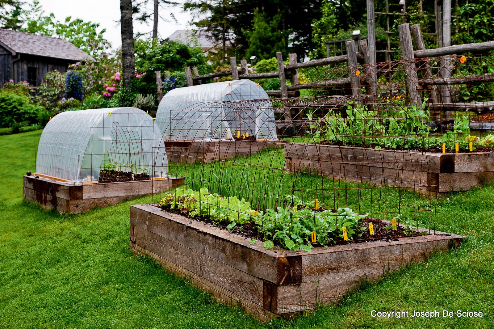 Sloped Backyard Grading: The Google Strategy