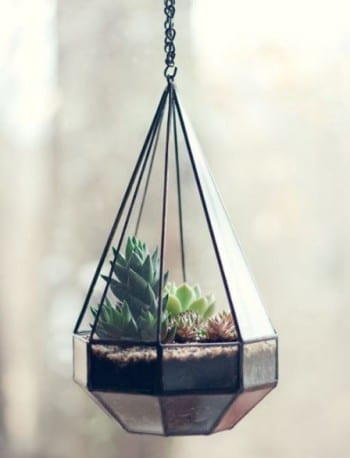 These adorable DIY terrariums are so cute and you will love the way they look in your home. This hanging glass terrarium is my favorite! 