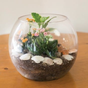 These adorable DIY terrariums are so cute and you will love the way they look in your home. This fish bowl terrarium is my favorite! 