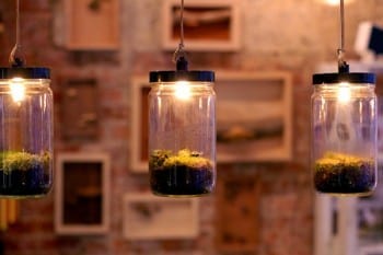 These adorable DIY terrariums are so cute and you will love the way they look in your home. These pendant lamp terrariums are my favorite! 