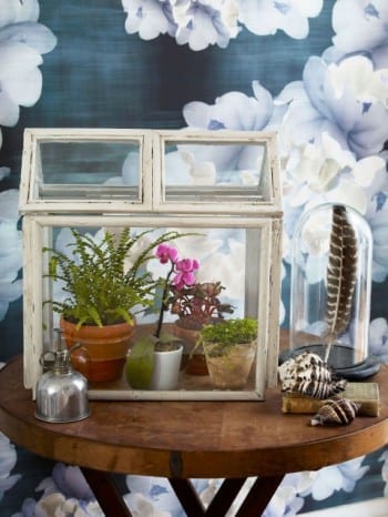 These adorable DIY terrariums are so cute and you will love the way they look in your home. This terrarium house is my favorite! 