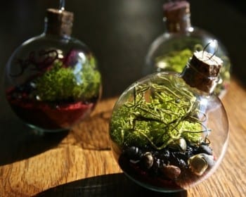 These adorable DIY terrariums are so cute and you will love the way they look in your home. These ornament terrariums are my favorite! 