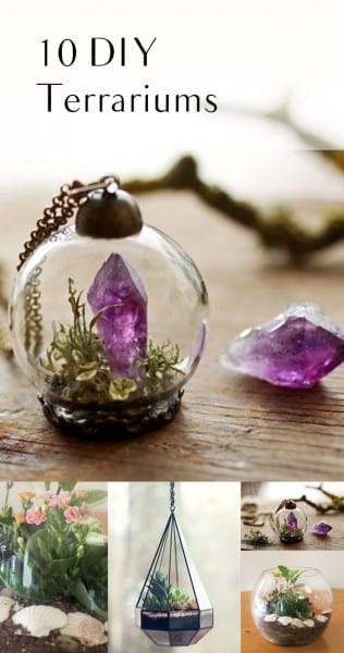 pin-10-diy-terrariums