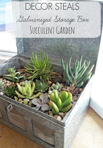 10 Succulent Themed Craft Projects, Succulent Craft Projects, Succulents, Decorating with Succulents, How to Decorate With Succulents, Succulent Care, Succulent Care Hacks, Succulent Care Tips, Growing Succulents Indoors