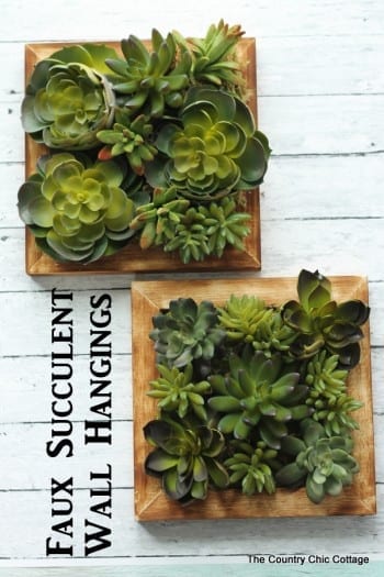 10 Succulent Themed Craft Projects, Succulent Craft Projects, Succulents, Decorating with Succulents, How to Decorate With Succulents, Succulent Care, Succulent Care Hacks, Succulent Care Tips, Growing Succulents Indoors