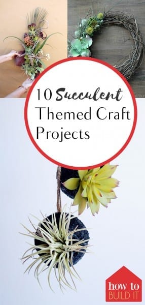 10 Succulent Themed Craft Projects, Succulent Craft Projects, Succulents, Decorating with Succulents, How to Decorate With Succulents, Succulent Care, Succulent Care Hacks, Succulent Care Tips, Growing Succulents Indoors