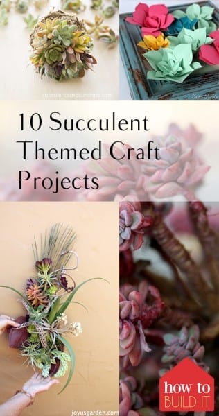 10 Succulent Themed Craft Projects, Succulent Craft Projects, Succulents, Decorating with Succulents, How to Decorate With Succulents, Succulent Care, Succulent Care Hacks, Succulent Care Tips, Growing Succulents Indoors