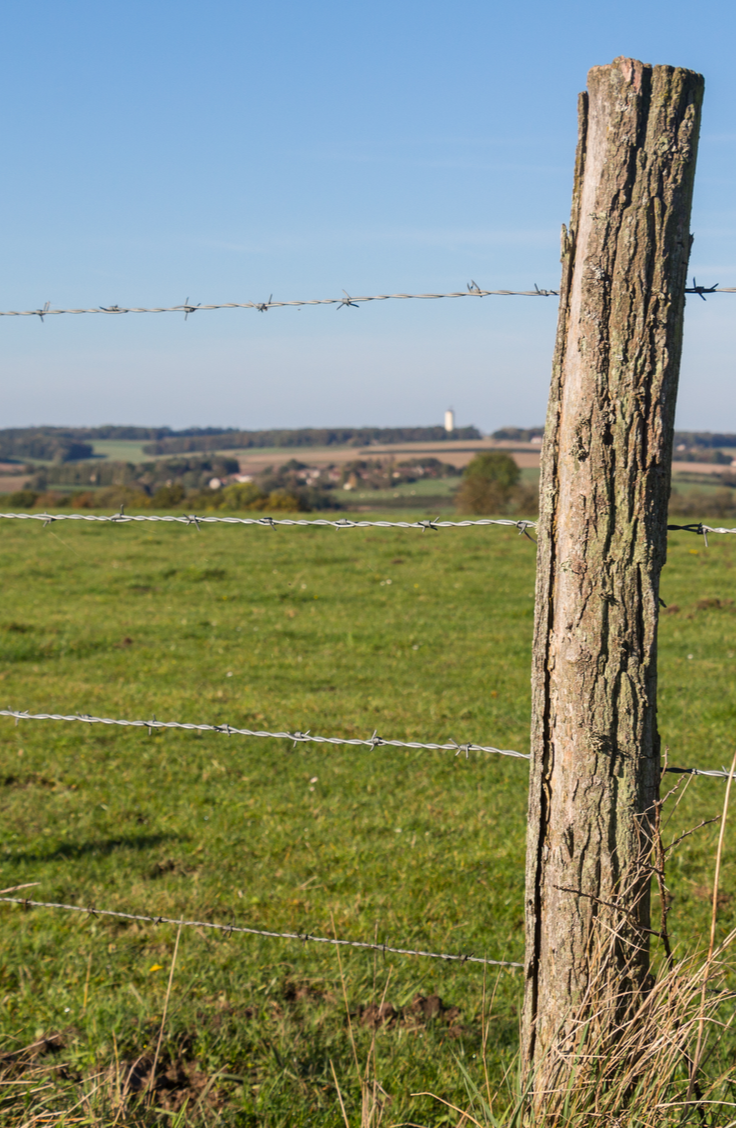 Setting posts can be hard and expensive. Use this guide to learn how to set posts without concrete to help you save money. 