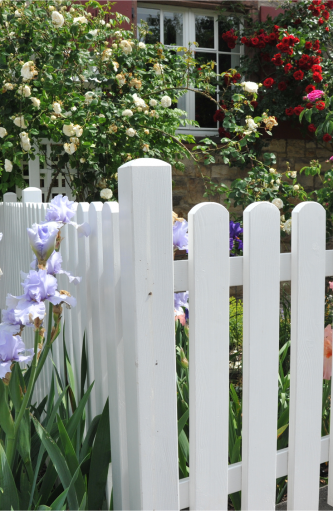 How to Paint a FenceFast! How To Build It