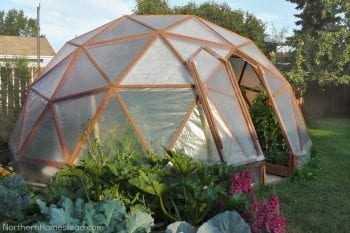 DIY Greehouse, winter Gardening, DIY Greenhouse Cheap, DIY Greenhouse Ideas, DIY Greenhouse Plans, DIY Greenhouse for Winter, Winter Garden, Winter Garden Ideas