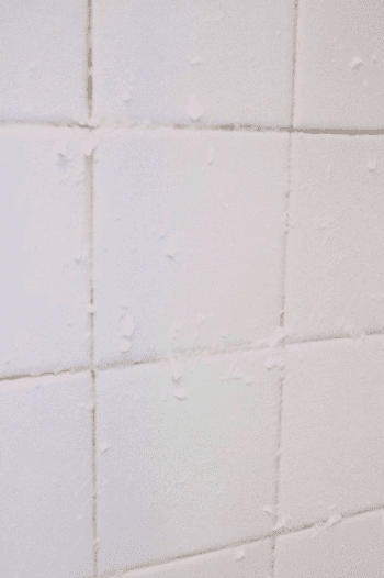 Whiten Grout, Whiten Grout Lines, Whiten Grout DIY Bathrooms, Whiten Grout Naturally, Home Improvement, Home Improvement Tips