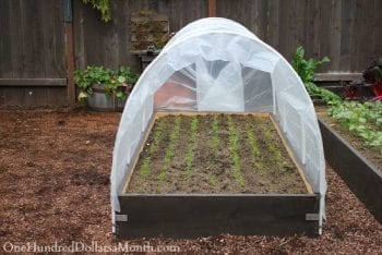 DIY Greehouse, winter Gardening, DIY Greenhouse Cheap, DIY Greenhouse Ideas, DIY Greenhouse Plans, DIY Greenhouse for Winter, Winter Garden, Winter Garden Ideas