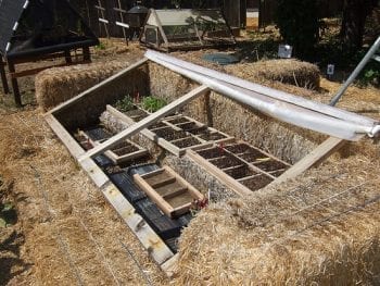 DIY Greehouse, winter Gardening, DIY Greenhouse Cheap, DIY Greenhouse Ideas, DIY Greenhouse Plans, DIY Greenhouse for Winter, Winter Garden, Winter Garden Ideas