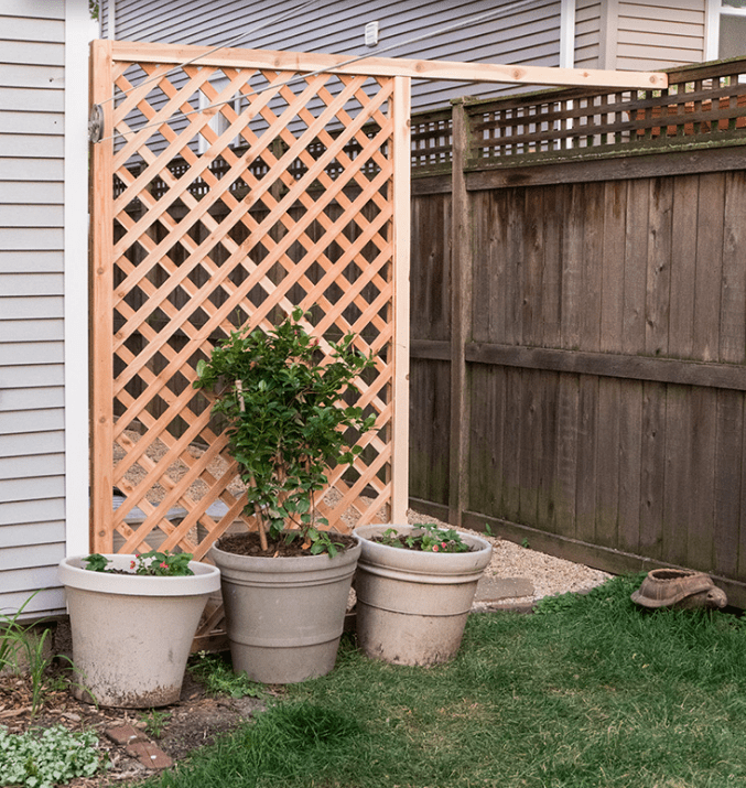 You Need to Build a DIY Privacy Trellis | How To Build It