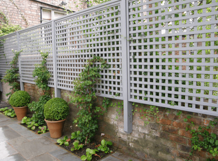 You Need to Build a DIY Privacy Trellis How To Build It