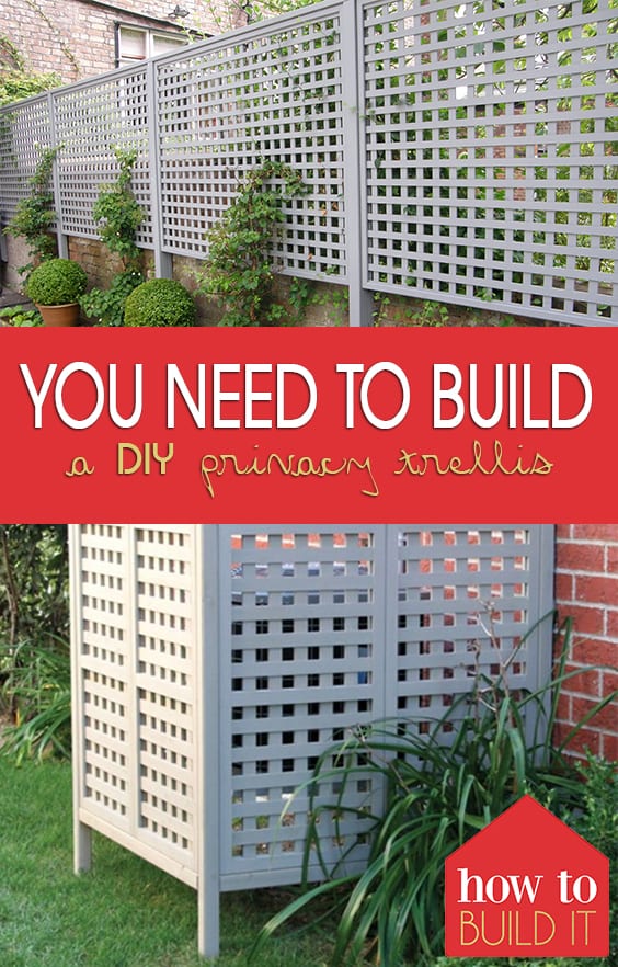 You Need to Build a DIY Privacy Trellis| Privacy Trellis, DIY Home, How to Create Backyard Privacy, DIY Outdoor, Outdoor Landscaping #DIYPrivacyTrellis #DIYHome