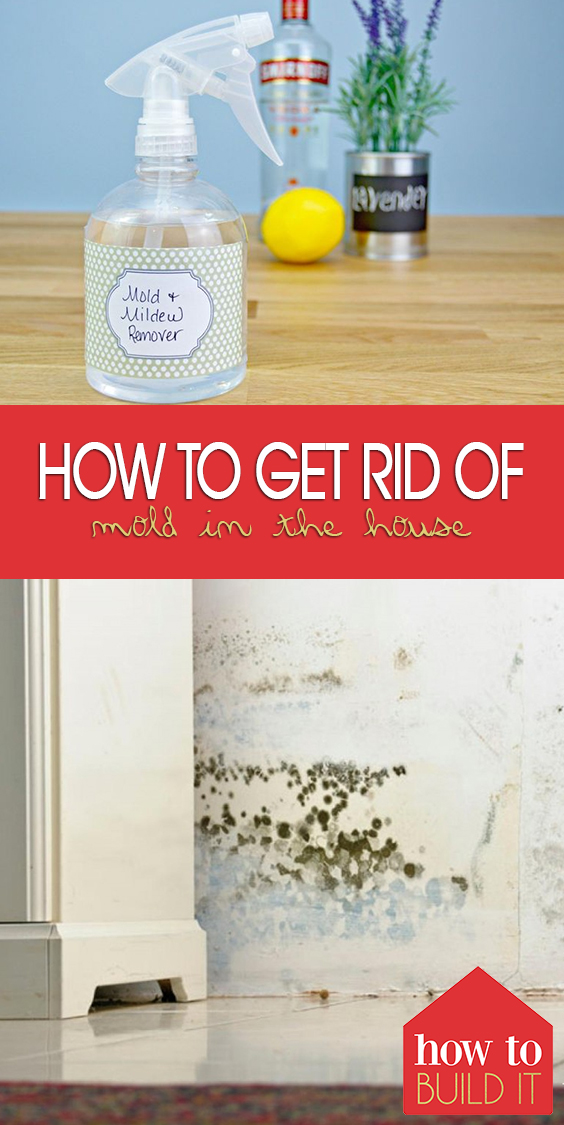 How to Get Rid of Mold In the House | Remove Mold, Mold REmoval, Mold Remover Walls, Mold Remover On Wood, Mold Remover Fabric, Cleaning, Cleaning Hacks