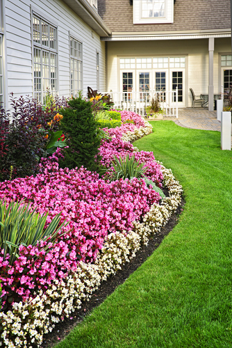 Landscape hot sale edging ideas