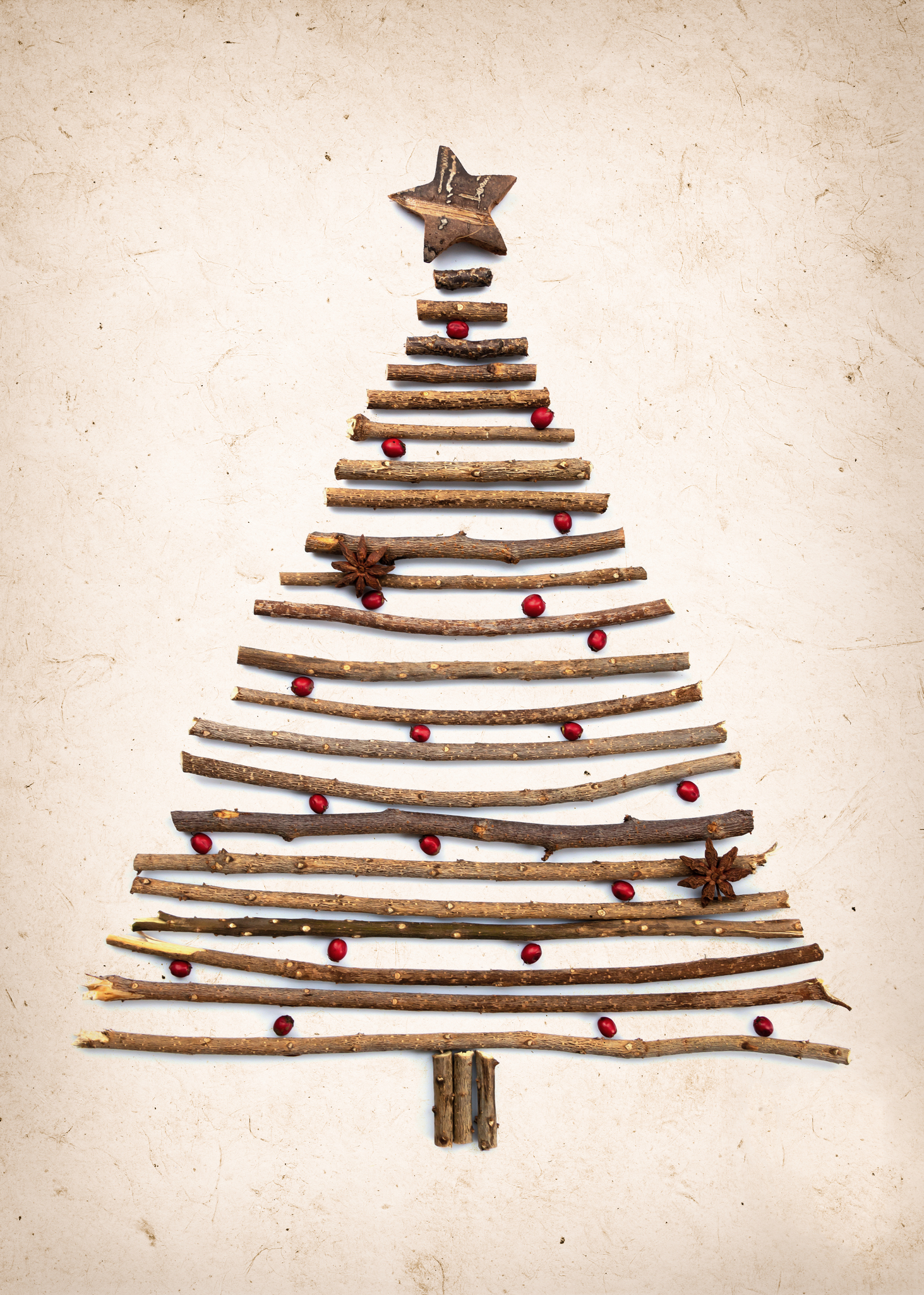 Rustic Christmas Crafts- Christmas tree make with Twigs and small branches