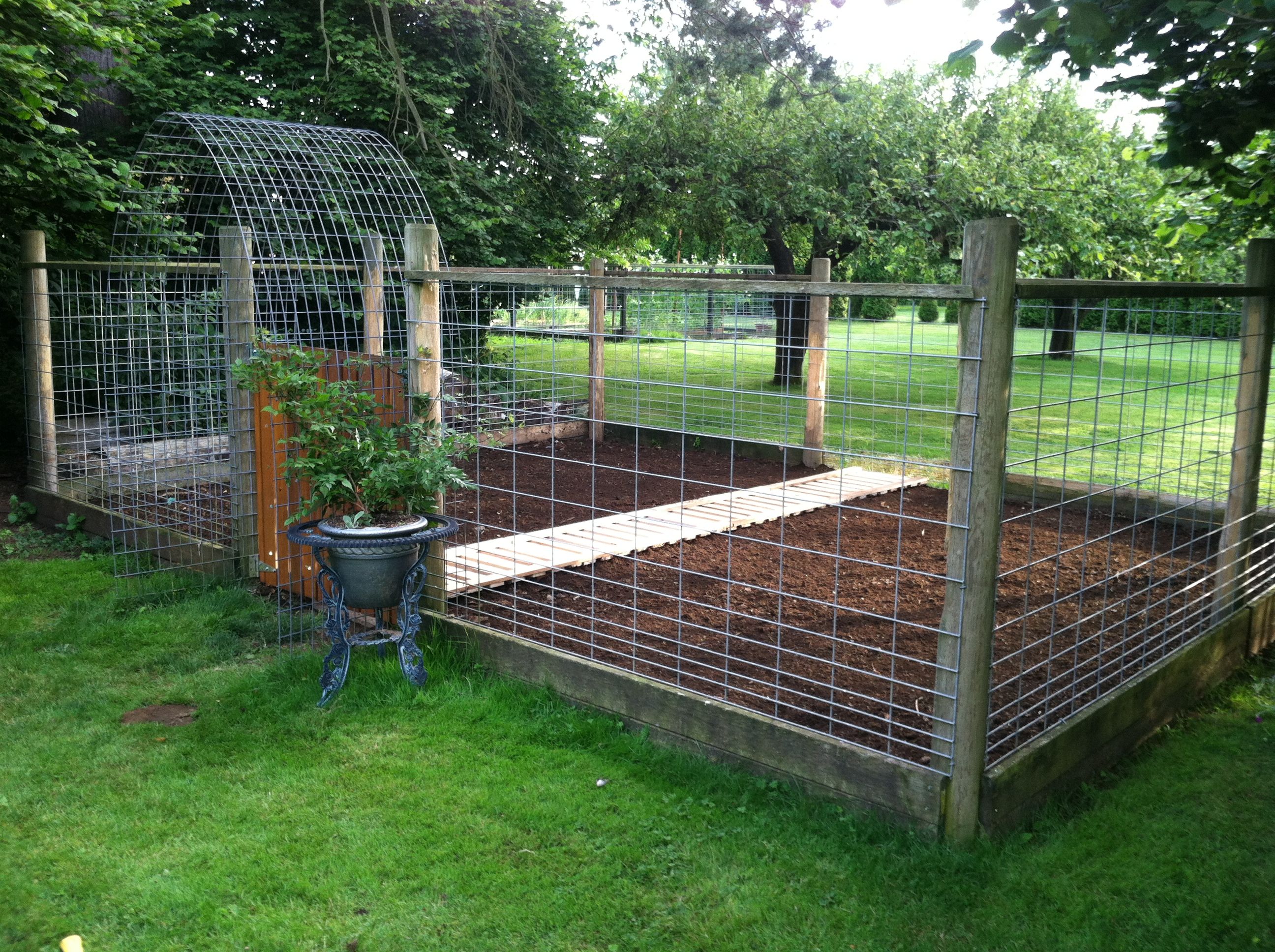 Don't Let Someone Get Your Goat: Goat Pen Ideas | How To Build It