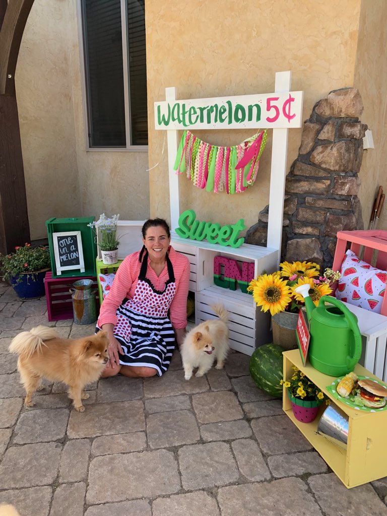 watermelon stand | lemonade stand | watermelon | lemonade | stand | diy stand | diy watermelon stand | diy lemonade stand | diy project | crafts 