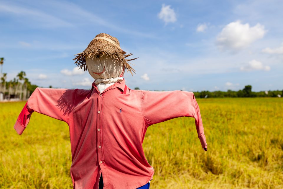 DIY Scarecrow For Your Fall Decor | How To Build It