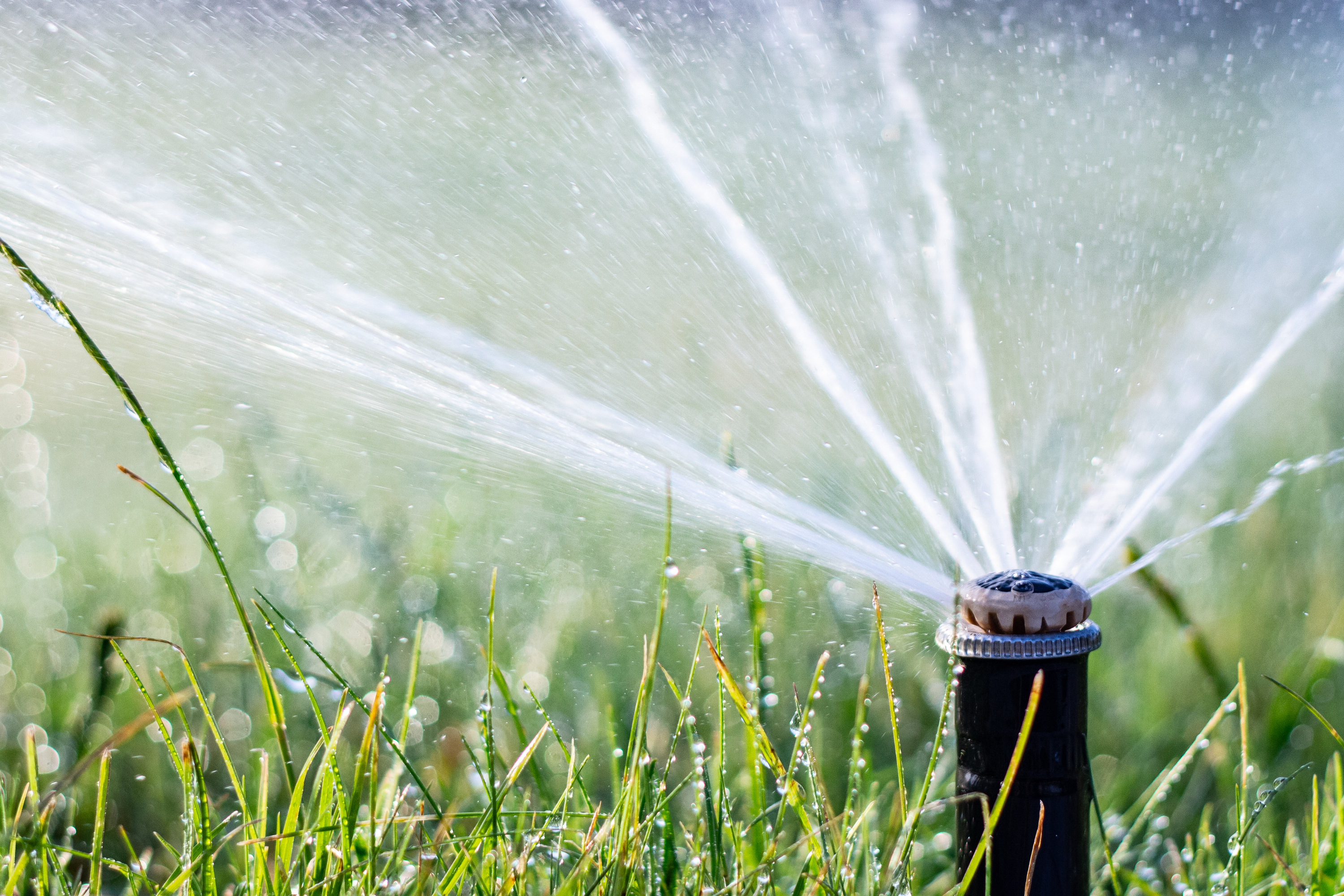 blow out your sprinkler lines | how to | sprinkler lines | how to blow out your sprinkler lines | yard maintenance | homeowner 