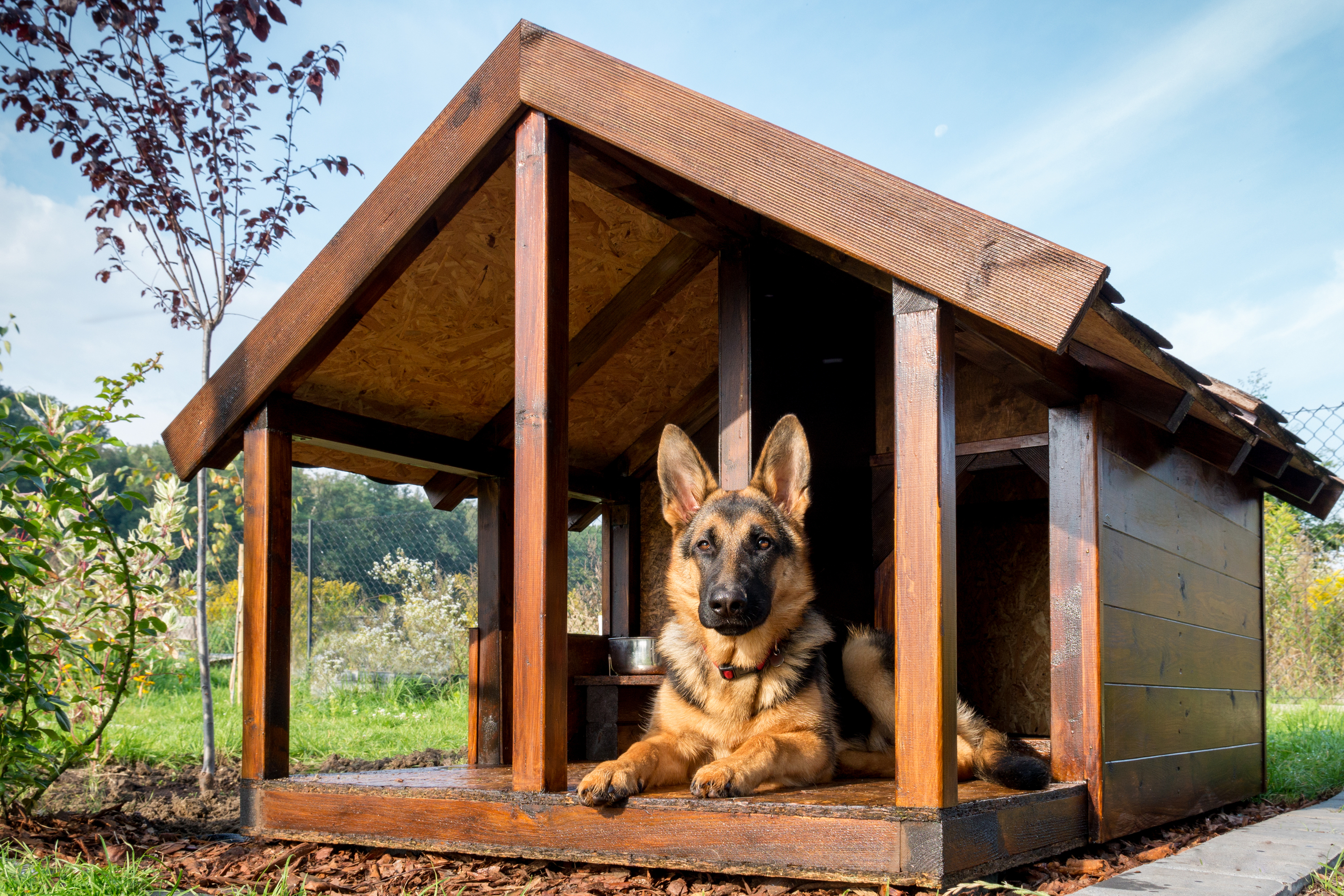 Free pallet best sale dog house plans