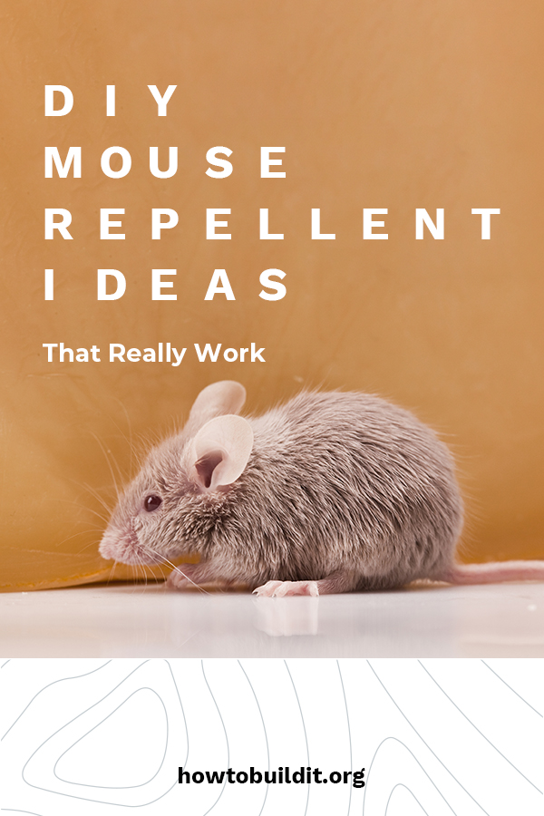 Mickey and Minnie are great, but your house isn't Disneyland. Mice can be a serious problem. Afraid of chemicals or traps that your pets or kids can get into? No worries because How To Build It is talking about DIY mouse repellent that really works. It's easy to make and is safe. Keep the mice away with these quick DIY repellent ideas. Take a look!