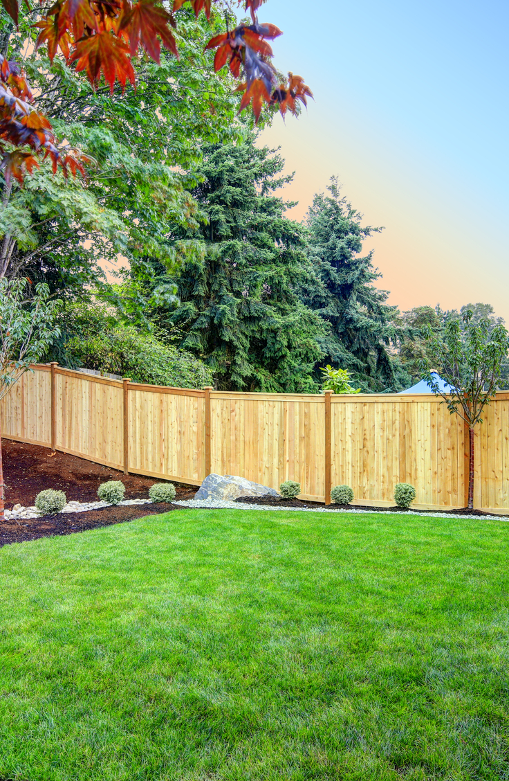 Backyard Projects: Water fountain in backyard near the wood fence. Vibrant green grass

