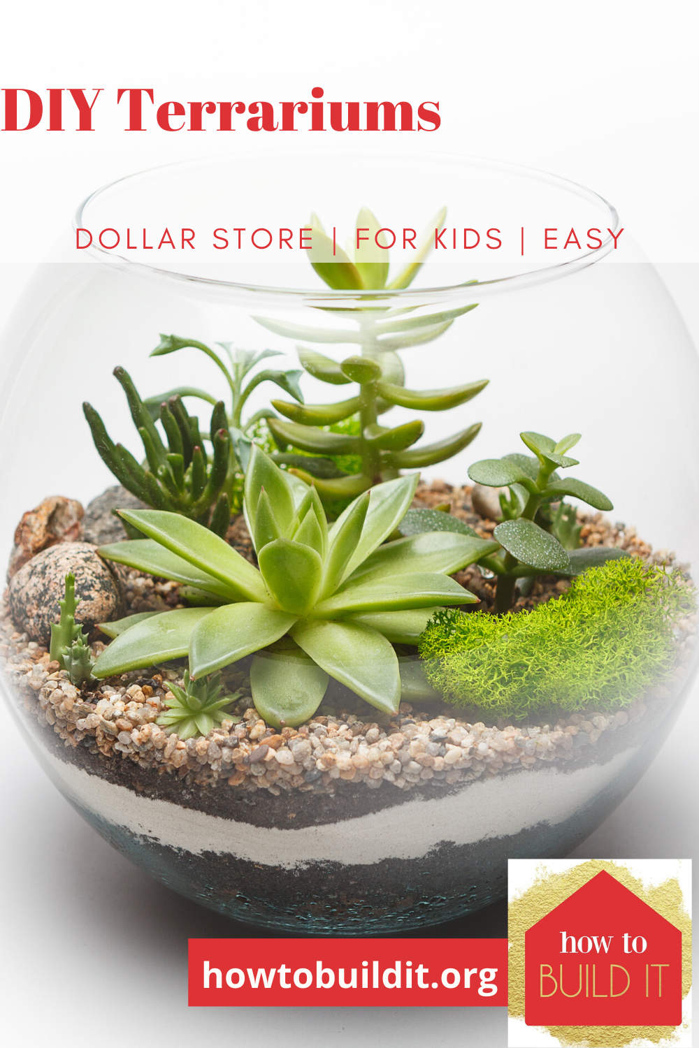 Make your own DIY terrarium and save big. I'll show you how! It's easy and it's a blast! #howtobuilditblog #terrariums #diyterrariums