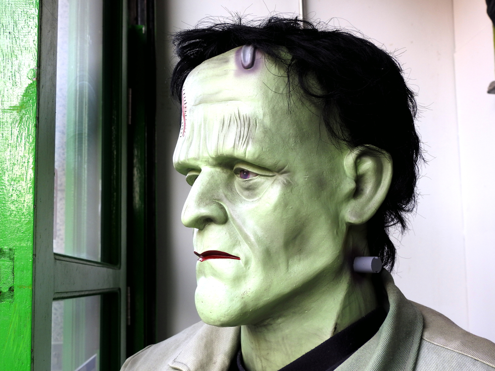 How To Make A Life Size Frankenstein